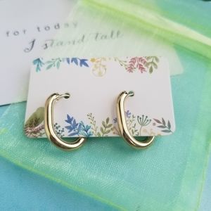 14K Gold/Steel Oval Hoop Earrings, Plated